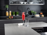 Bamix Mono M200 Red 5